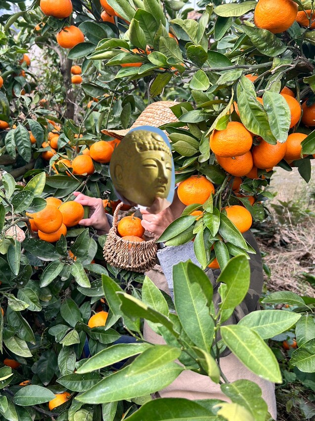 土土 atelier 토토아뜰리에手作甜點 X魔王 濟州島人氣DIY甜點店 濟州島旅遊推薦景點