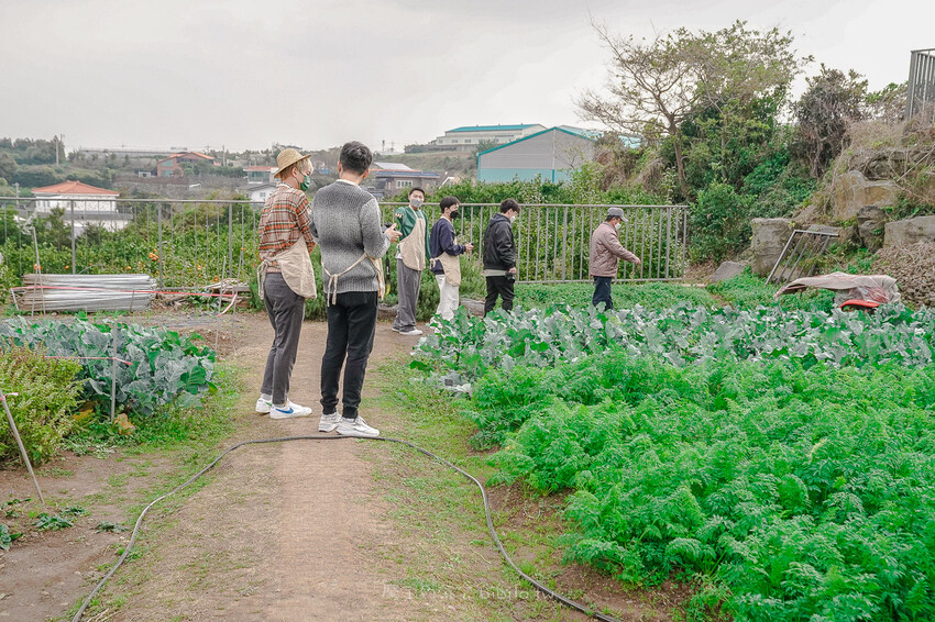 土土 atelier 토토아뜰리에手作甜點 X魔王 濟州島人氣DIY甜點店 濟州島旅遊推薦景點