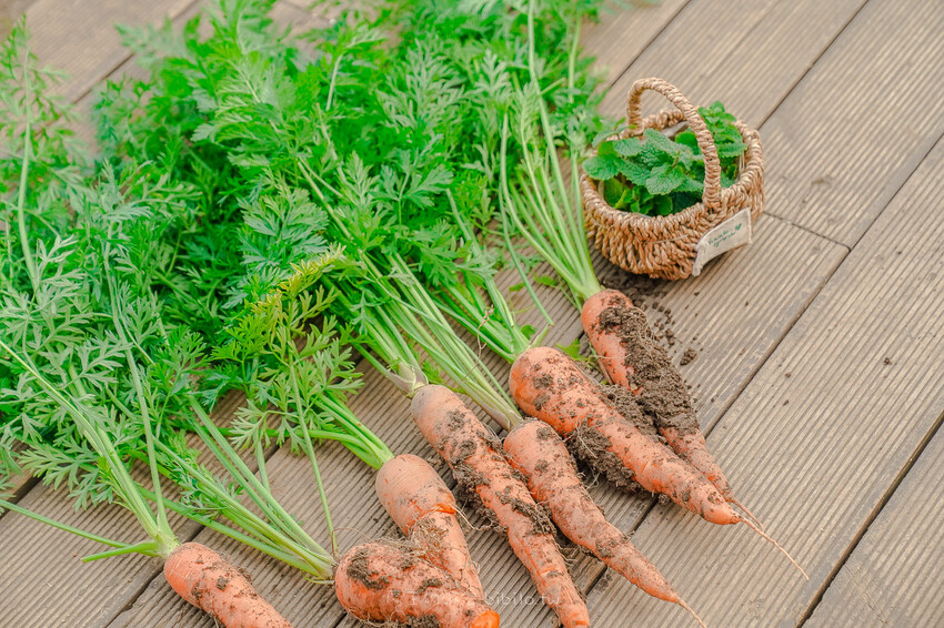 土土 atelier 토토아뜰리에手作甜點 X魔王 濟州島人氣DIY甜點店 濟州島旅遊推薦景點