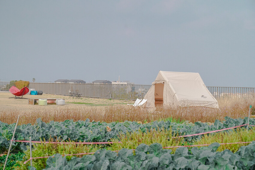 土土 atelier 토토아뜰리에手作甜點 X魔王 濟州島人氣DIY甜點店 濟州島旅遊推薦景點