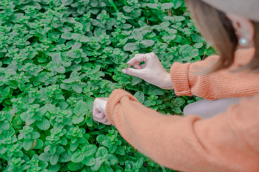 土土 atelier 토토아뜰리에手作甜點 X魔王 濟州島人氣DIY甜點店 濟州島旅遊推薦景點