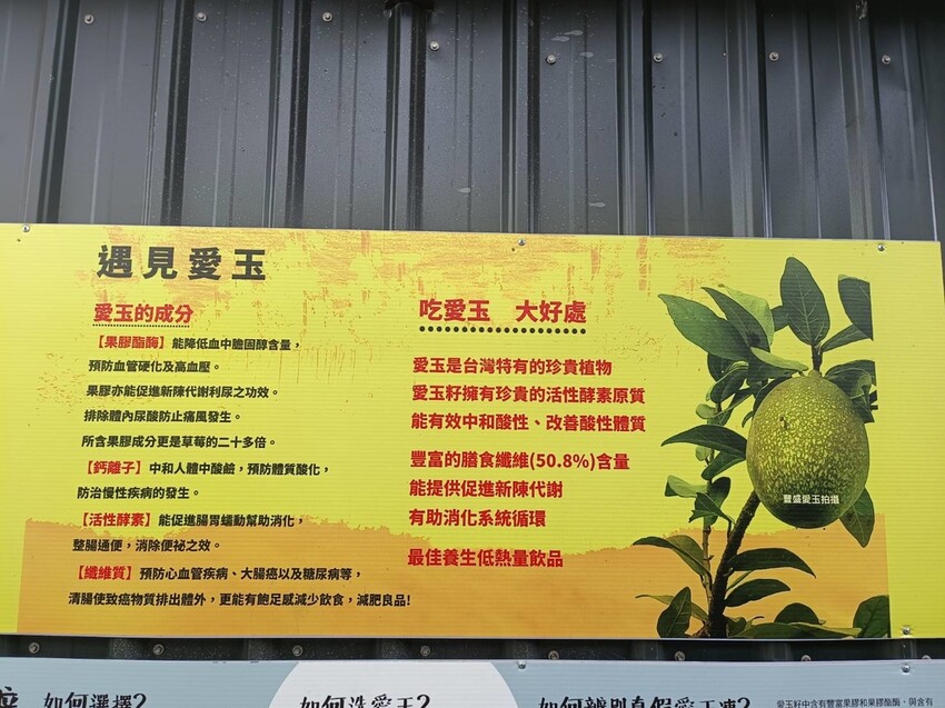 390706.jpg - 【宜蘭.員山】太平山下的寵物樂園。豐盛愛玉店家免費招待品嘗愛玉+逛愛玉園解說愛玉生長史