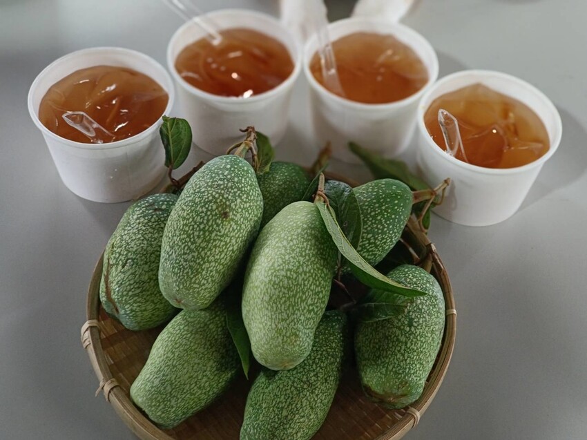 390709.jpg - 【宜蘭.員山】太平山下的寵物樂園。豐盛愛玉店家免費招待品嘗愛玉+逛愛玉園解說愛玉生長史