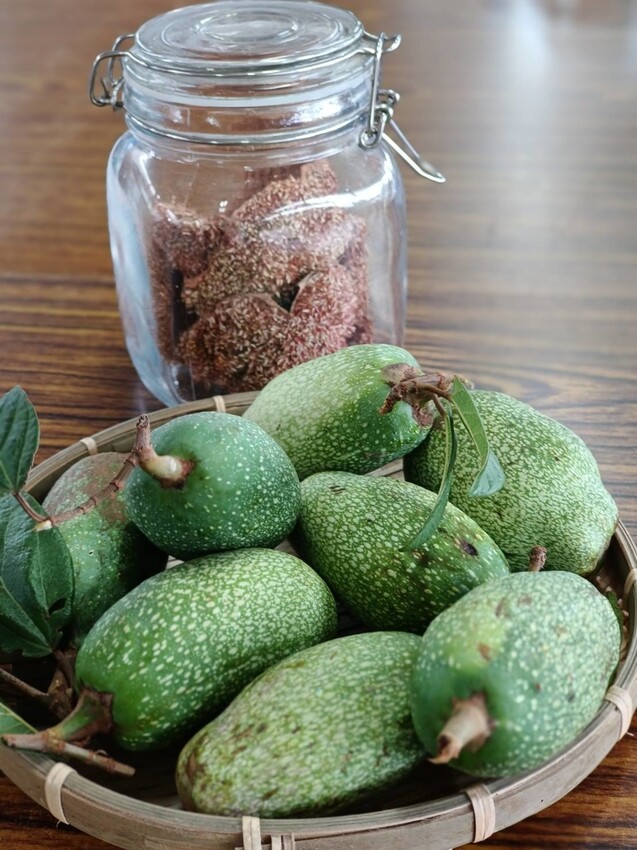 390712.jpg - 【宜蘭.員山】太平山下的寵物樂園。豐盛愛玉店家免費招待品嘗愛玉+逛愛玉園解說愛玉生長史