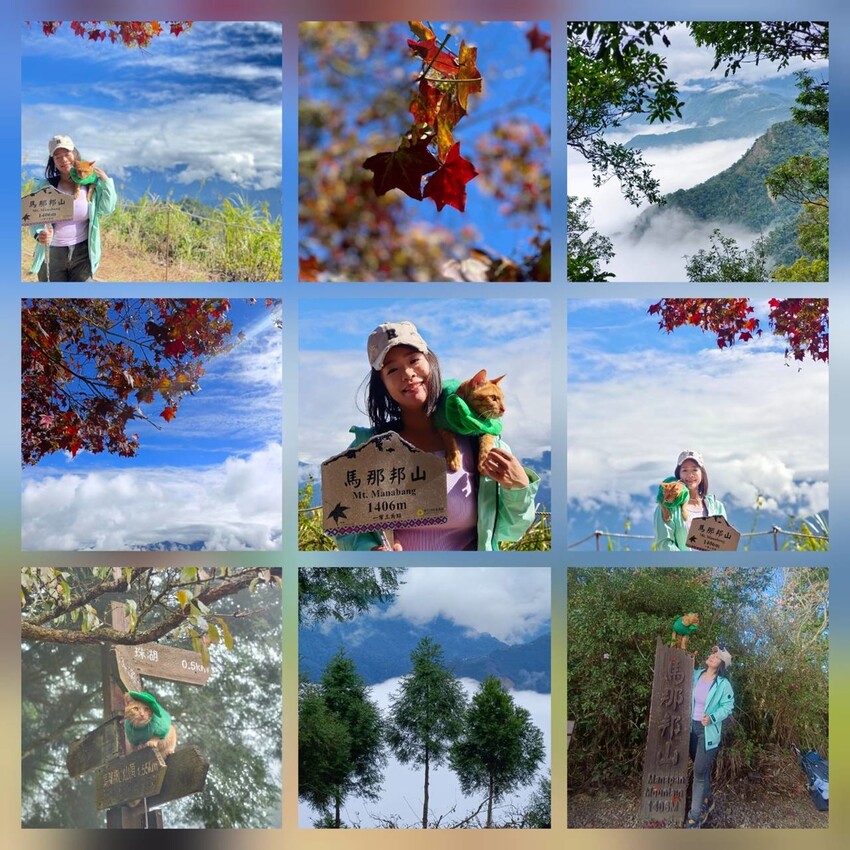 395235.jpg - 【苗栗.大湖】2022賞楓推薦。馬那邦山小百岳no.37。噴發的雲海超美+吳姊包子店早餐