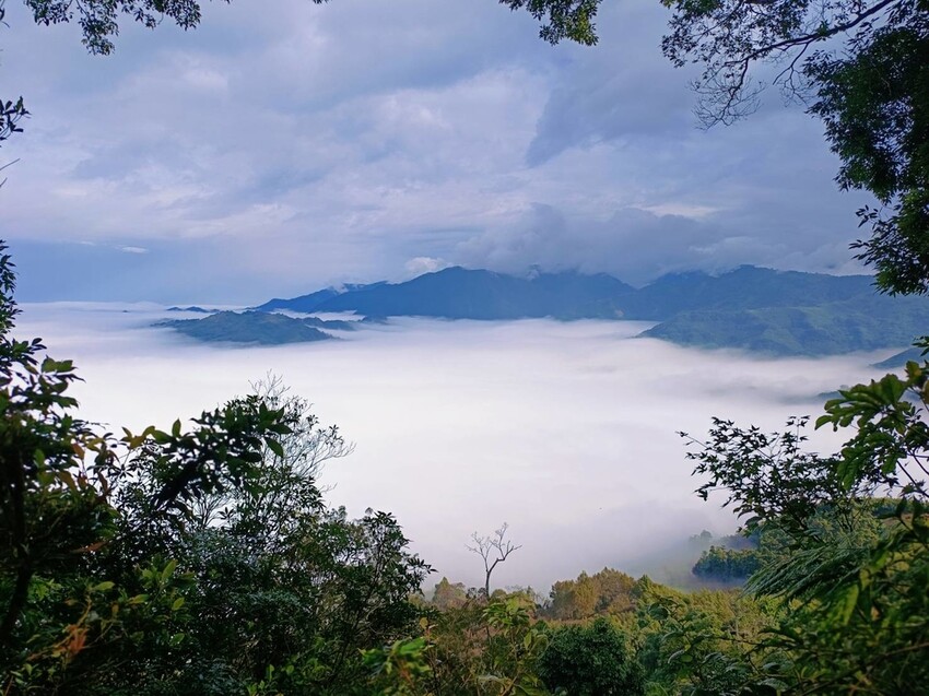 395267.jpg - 【苗栗.大湖】2022賞楓推薦。馬那邦山小百岳no.37。噴發的雲海超美+吳姊包子店早餐