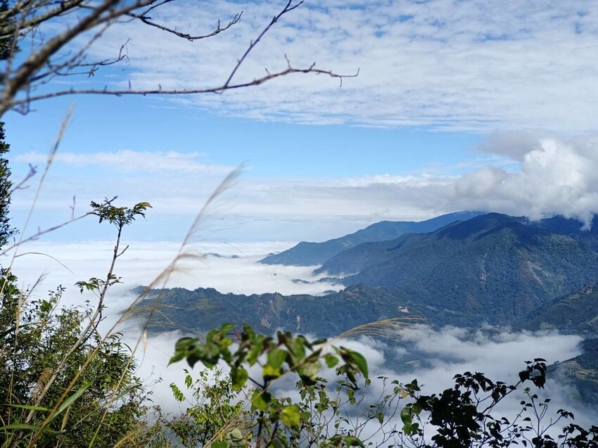 394984.jpg - 【苗栗.大湖】2022賞楓推薦。馬那邦山小百岳no.37。噴發的雲海超美+吳姊包子店早餐