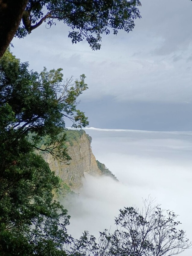 394943.jpg - 【苗栗.大湖】2022賞楓推薦。馬那邦山小百岳no.37。噴發的雲海超美+吳姊包子店早餐