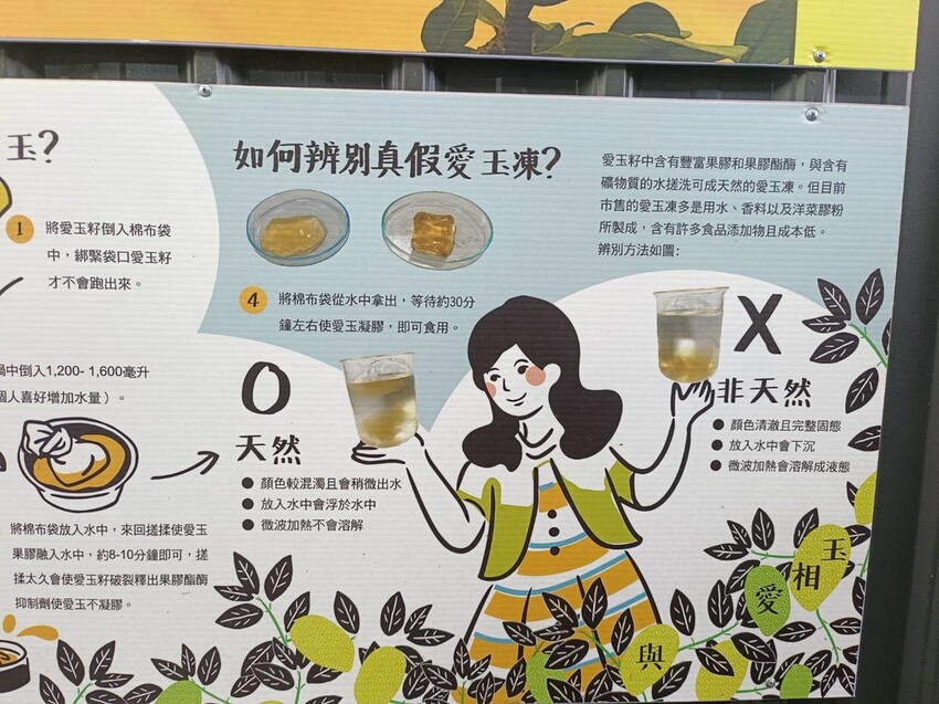 390707.jpg - 【宜蘭.員山】太平山下的寵物樂園。豐盛愛玉店家免費招待品嘗愛玉+逛愛玉園解說愛玉生長史