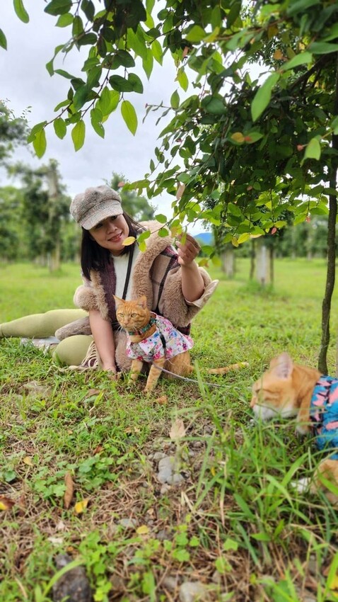 392012.jpg - 【宜蘭.員山】太平山下的寵物樂園。豐盛愛玉店家免費招待品嘗愛玉+逛愛玉園解說愛玉生長史