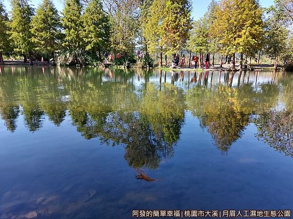 月眉人工濕地生態公園14-湖中倒影.jpg