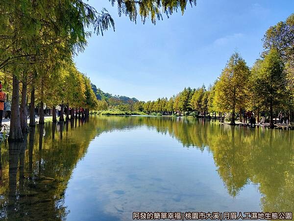 月眉人工濕地生態公園12-林澤溼地區湖畔周邊落羽松圍繞.jpg