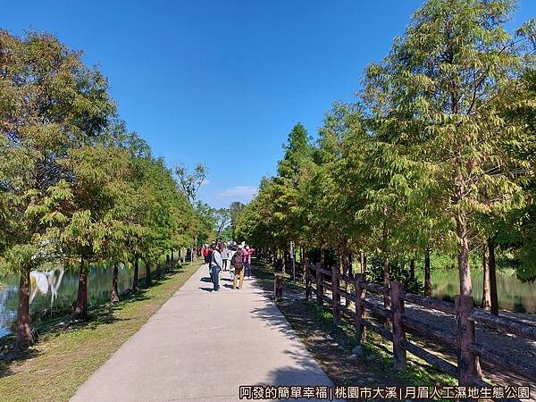 月眉人工濕地生態公園06-次生林區與林澤溼地區間步道.jpg