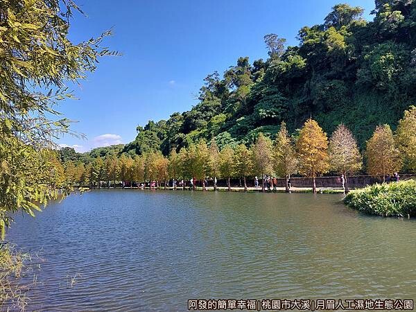 月眉人工濕地生態公園10-林澤溼地區湖景.jpg