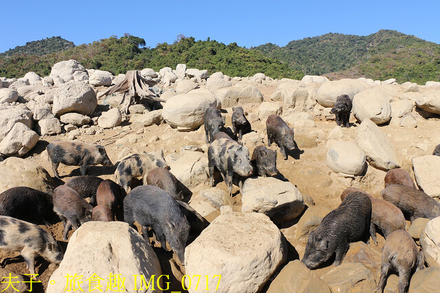 IMG_0717.jpg - 曾文水庫 20221216