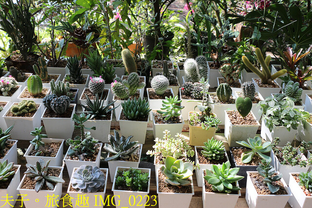 IMG_0223.jpg - 2031幸福包裝場 20221215