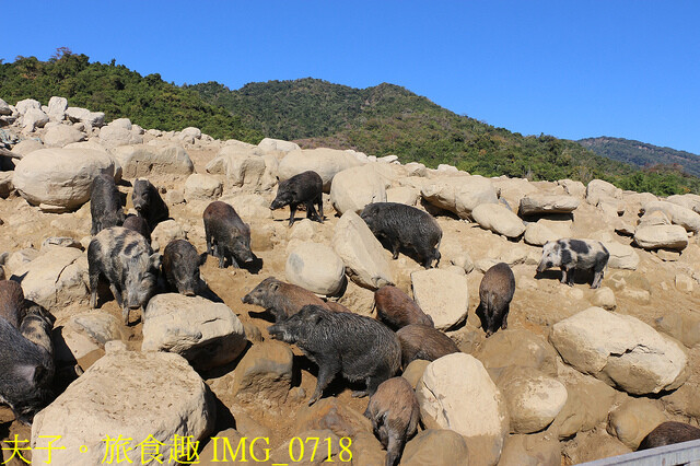 IMG_0718.jpg - 曾文水庫 20221216