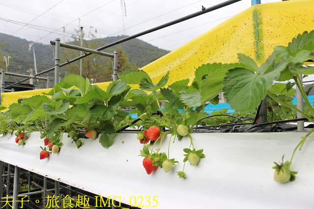 IMG_0235.jpg - 台一生態休閒農場 20221130