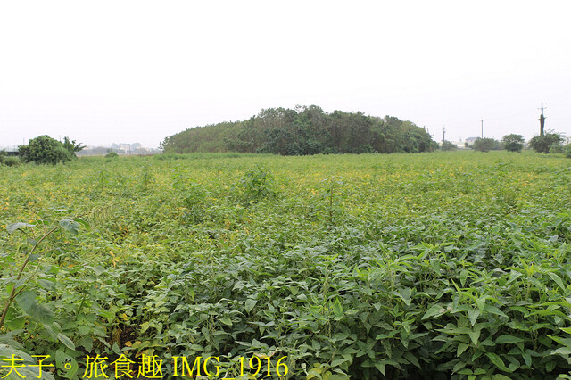 IMG_1916.jpg - 田野勤學 20221125