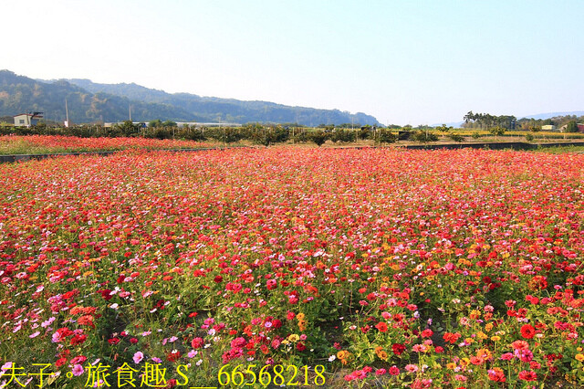 S__66568218.jpg - 2023竹山竹藝燈會 20221224