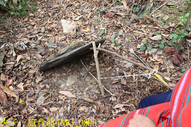 IMG_0606.jpg - 德鹿谷 20221130