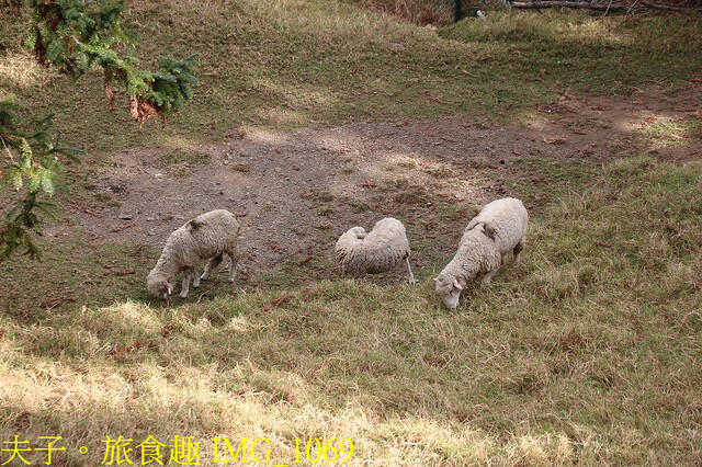 IMG_1069.jpg - 鳶峰星空劇場 20221130