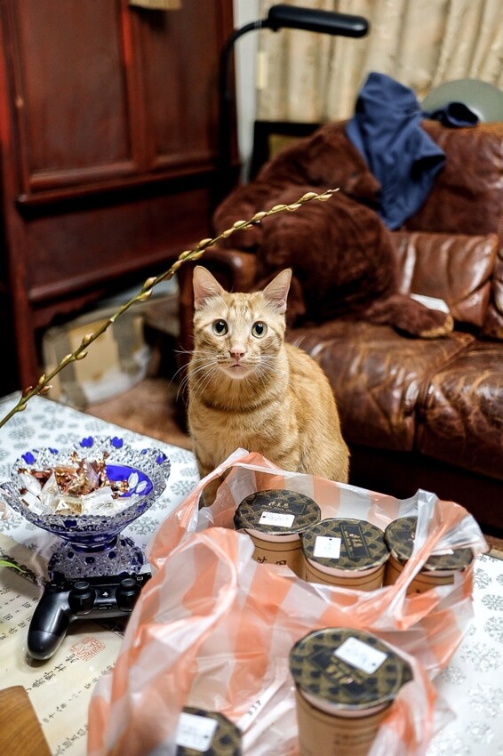 灶咖|福虎生風!陳家的十一道年菜