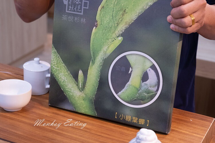 【南投竹山景點】茶悅杉林｜茶葉DIY體驗，自製香Q茶包，南投親子景點推薦 - 貪吃猴的幻想