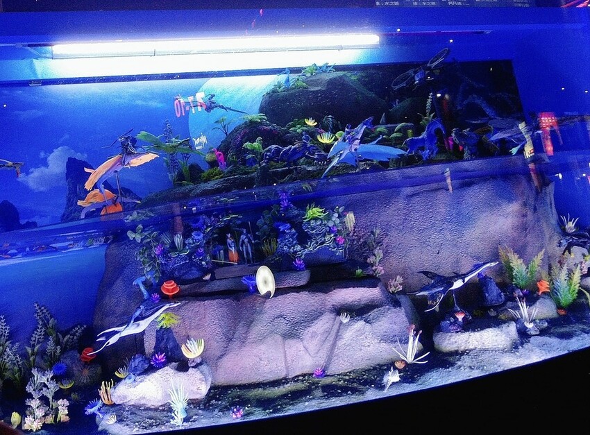 《阿凡達:水之道》3D 電影首映口碑場