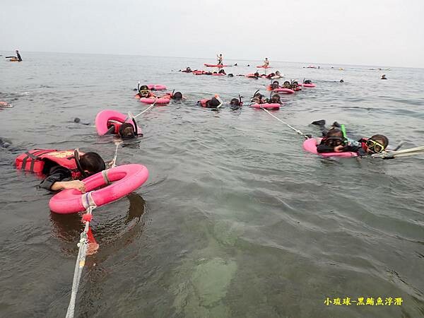 小琉球-黑鮪魚浮潛 (23).jpg