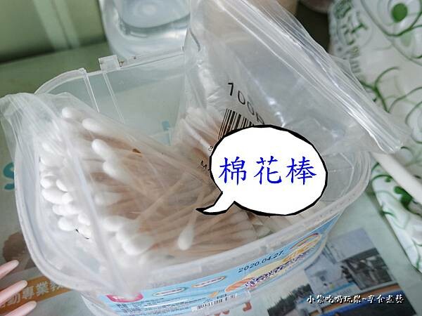 2022黑鮪魚浮潛 (21).jpg