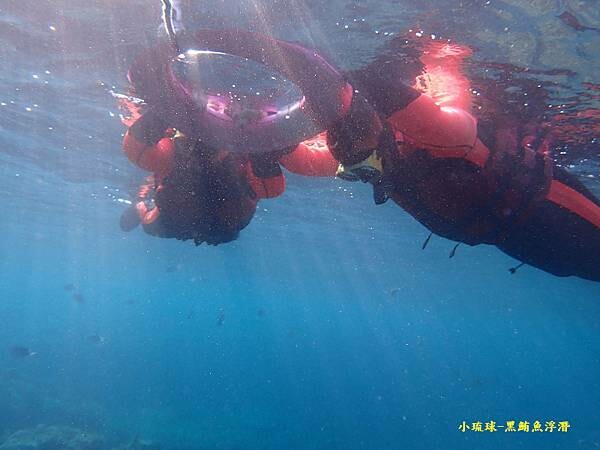 2022-1115-小琉球黑鮪魚浮潛 (10).jpg