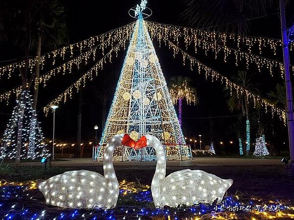 天鵝-南勢溪公園 (1).jpg