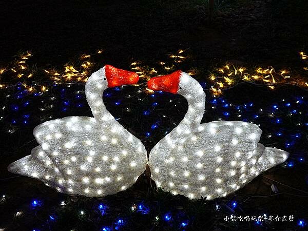 天鵝-南勢溪公園 (2).jpg