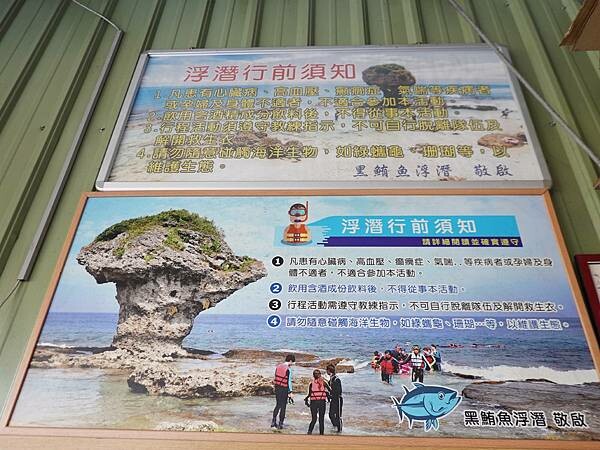 2022黑鮪魚浮潛 (31).JPG