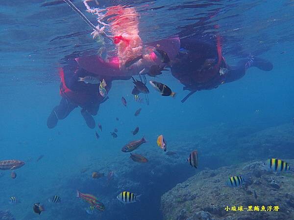 小琉球-黑鮪魚浮潛 (8).jpg