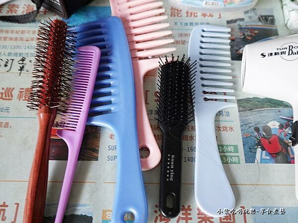 2022黑鮪魚浮潛 (22).jpg