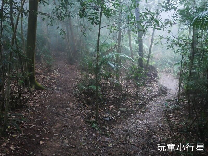 高雄景點｜橫跨高屏的尾寮山，拉繩攀登，挑戰型小百岳