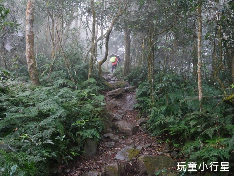 高雄景點｜橫跨高屏的尾寮山，拉繩攀登，挑戰型小百岳