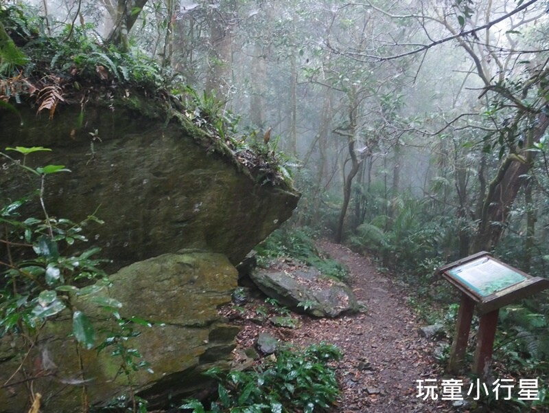 高雄景點｜橫跨高屏的尾寮山，拉繩攀登，挑戰型小百岳