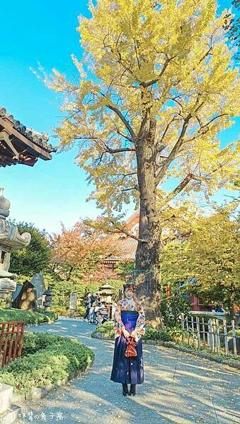 IMG20221108143948 (2)