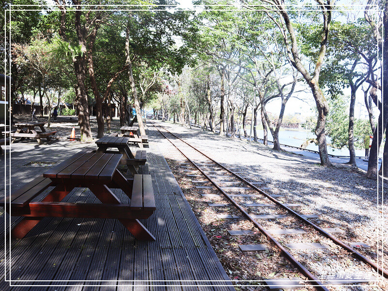 羅東林業文化園區-宜蘭/室內場館+戶外貯木池步道~好拍好逛免門票景點