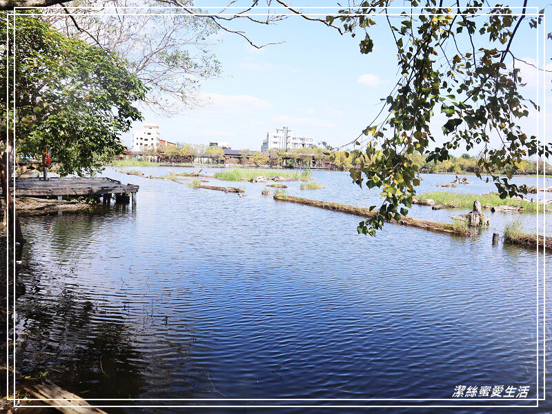羅東林業文化園區-宜蘭/室內場館+戶外貯木池步道~好拍好逛免門票景點