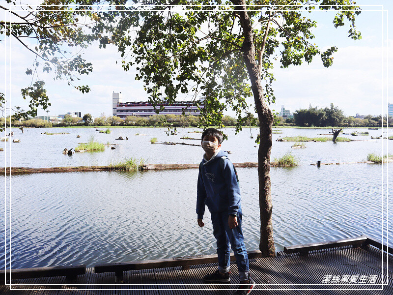 羅東林業文化園區-宜蘭/室內場館+戶外貯木池步道~好拍好逛免門票景點