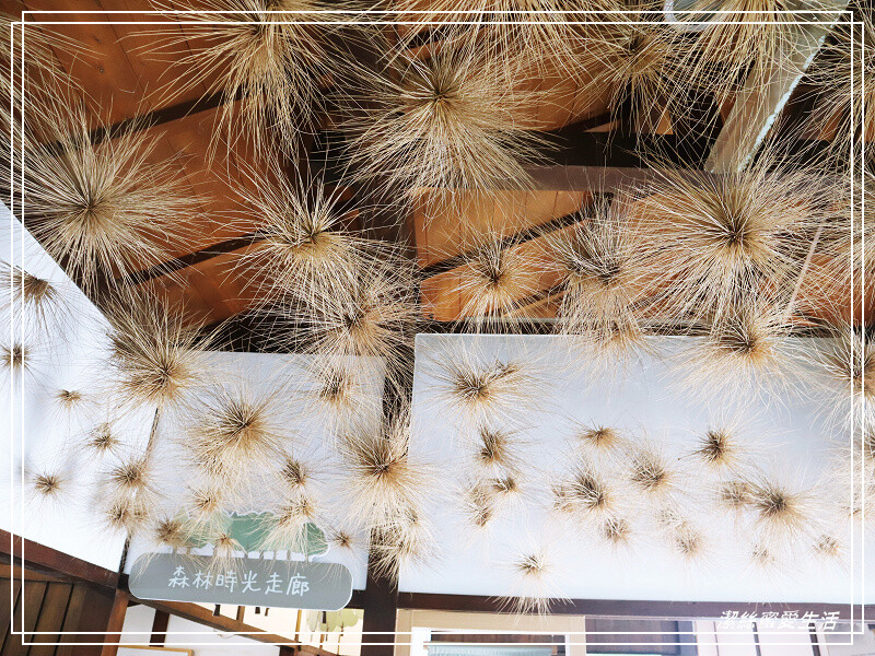 羅東林業文化園區-宜蘭/室內場館+戶外貯木池步道~好拍好逛免門票景點