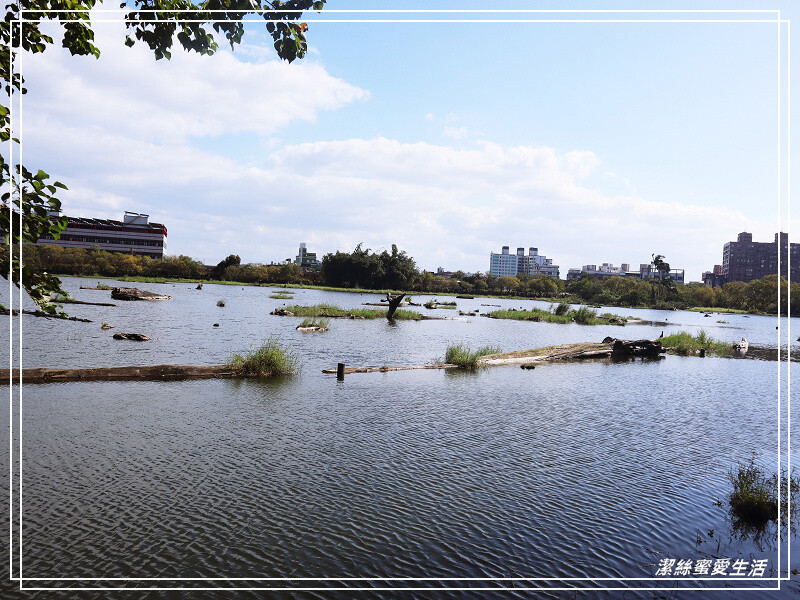 羅東林業文化園區-宜蘭/室內場館+戶外貯木池步道~好拍好逛免門票景點