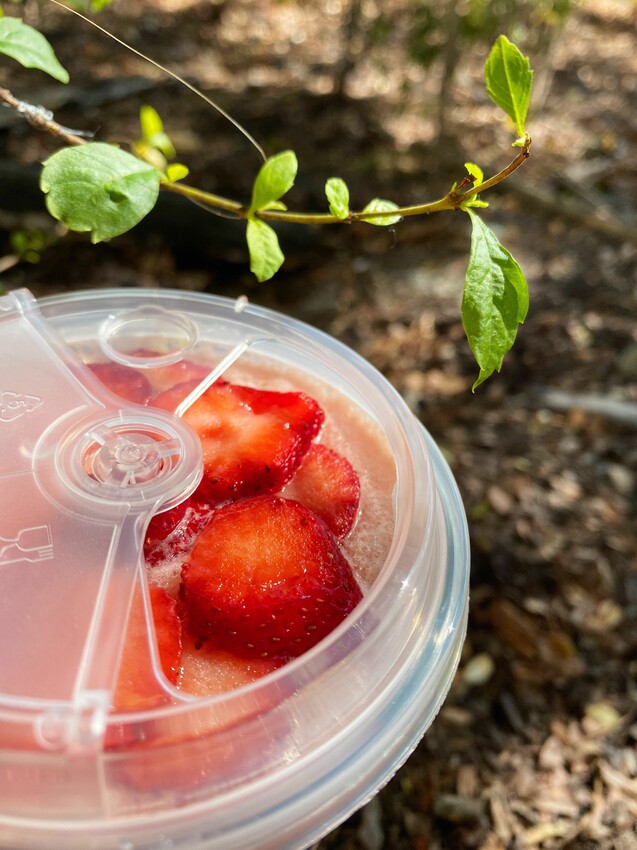 [台中展覽] 臺中驛冬日嘉年華｜人氣角色陪你過聖誕！粉嫩摩天輪 Ｘ旋轉木馬 一票遊玩兩大設施｜精選7大台中聖誕拍照景點 - 萍姐愛分享