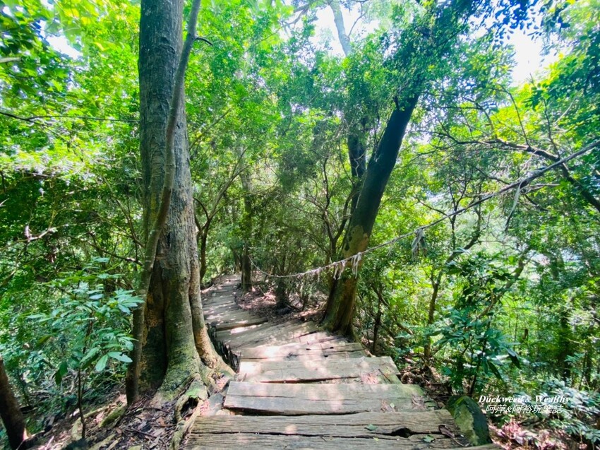 台南步道推薦:鈺鼎步道 / WalkerLand窩客島整理提供 未經許可不可轉載 台南步道推薦:鈺鼎步道 / WalkerLand窩客島整理提供 未經許可不可轉載