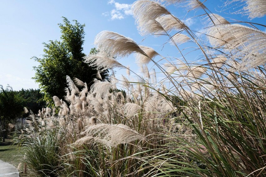 2023台中燈會-  《中央公園》盛大展開，2/4~12日盛大展開，6大主題燈區，逾30座燈組 超可愛啊!