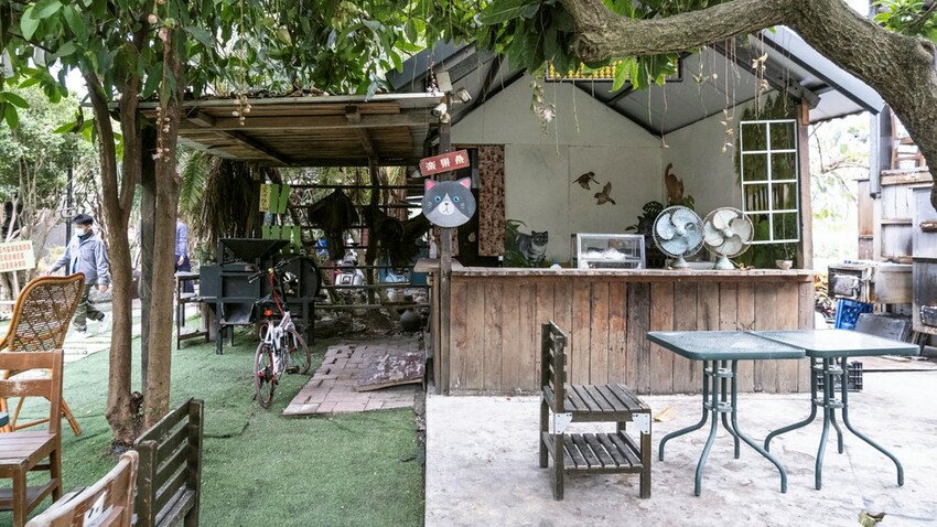 中部景點 ｜2023 蜀葵花海現身－巨型人偶+玩陶+嚕貓一起野餐吧!